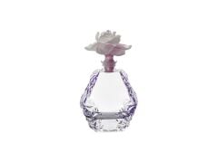 Mor Cam Şişe 20cm 300ml
