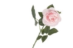 Açık Pembe Gül 50 cm