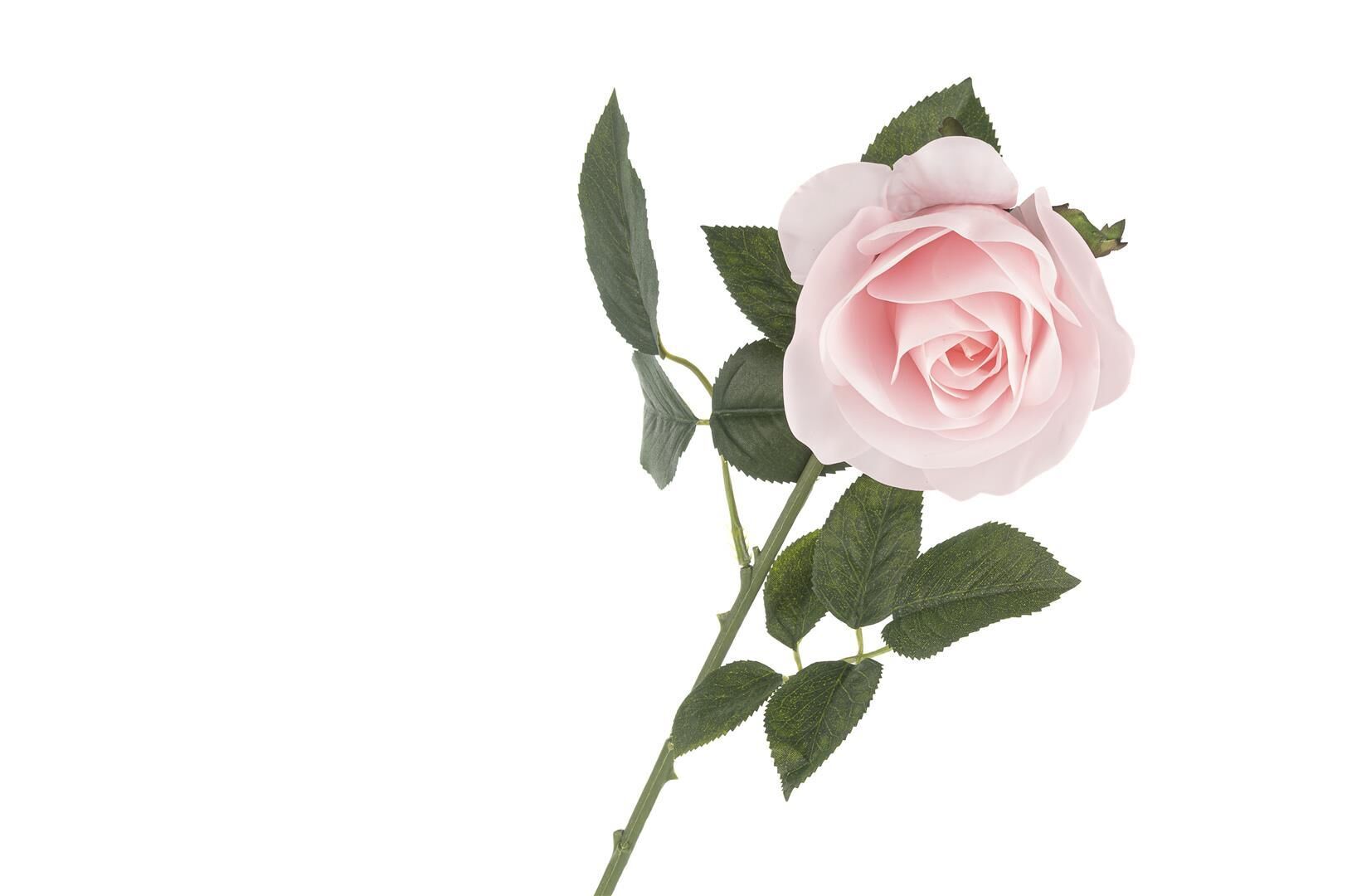 Açık Pembe Gül 50 cm