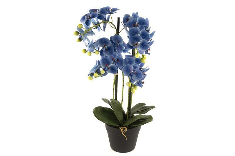 Mavi 5li Yapay Orkide 70cm