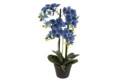 Mavi 5li Yapay Orkide 70cm