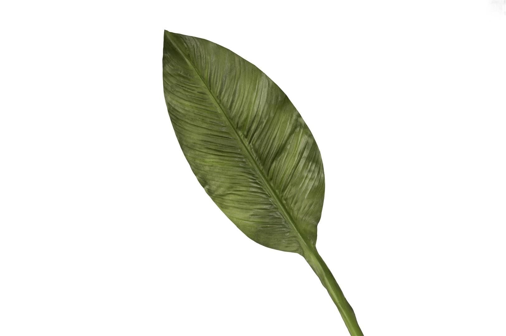 Yeşil Starliçe Yaprak 86cm