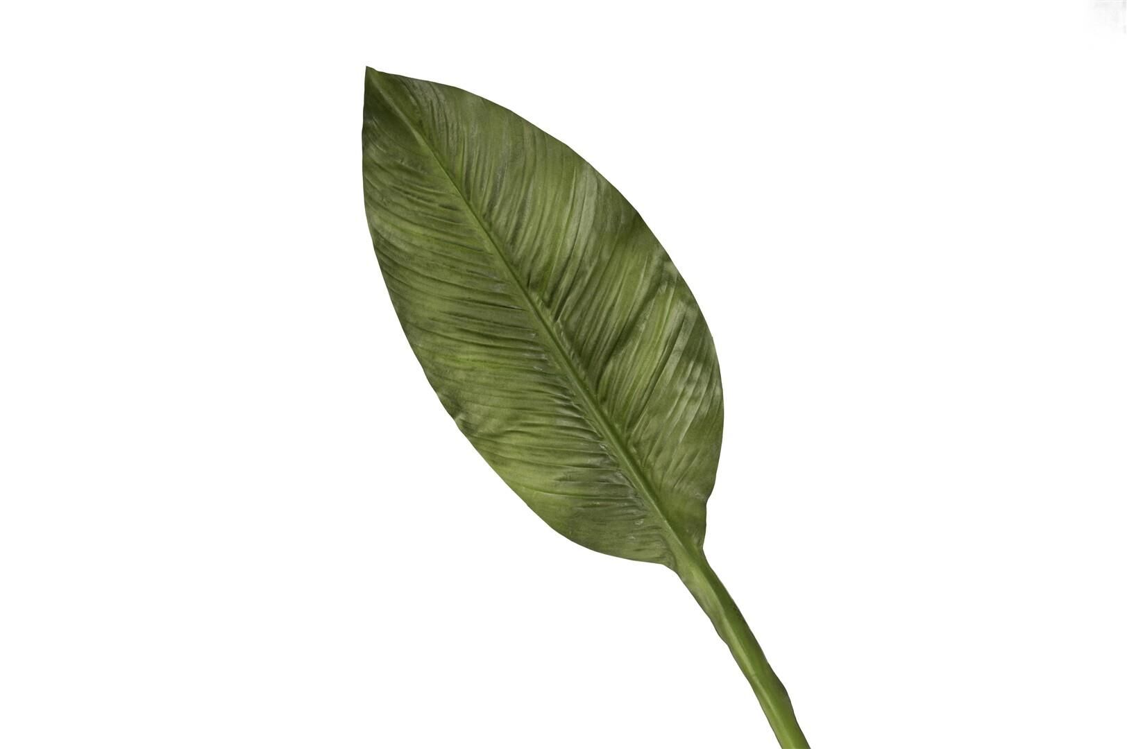 Yeşil Starliçe Yaprak 86cm