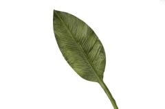 Yeşil Starliçe Yaprak 86cm