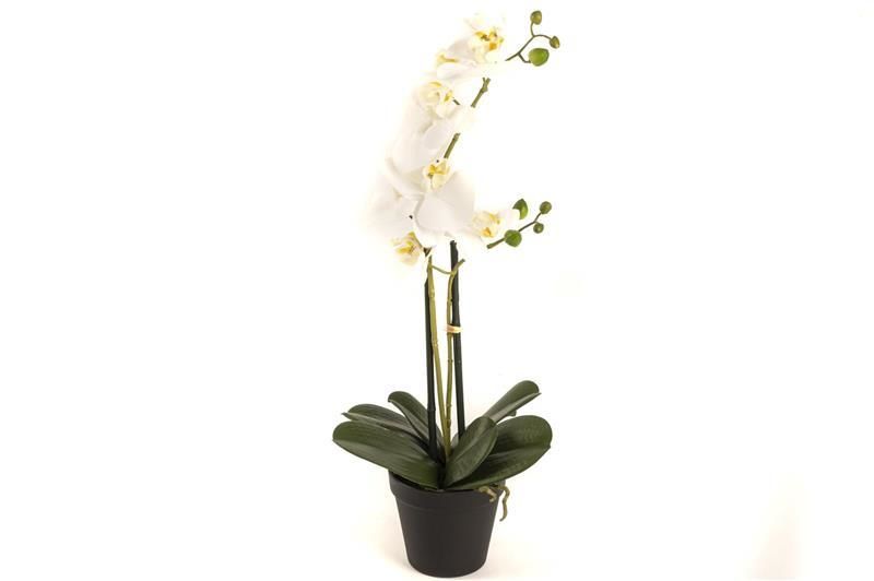 Beyaz 2li Yapay Orkide 58cm