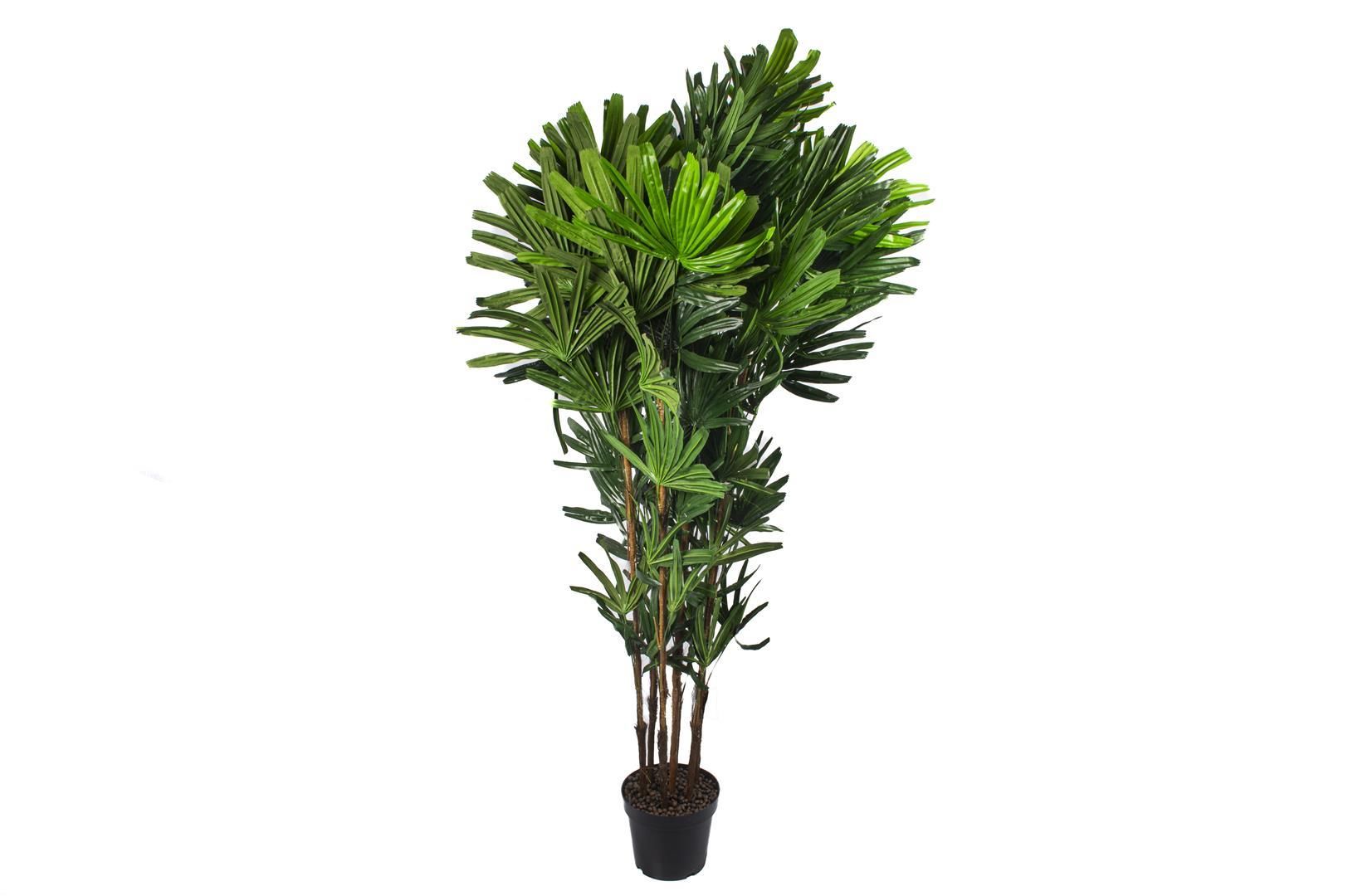 Yapay Rhapis Ağacı 195cm