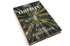 Nature Forest Kitap Kutu 35x24x3cm