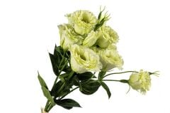 Beyaz Buket Yapay Çiçek 51cm