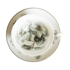 Harmonia Bone 2li Çay Fincanı Seti