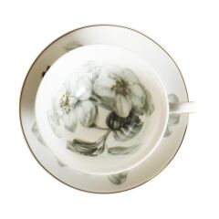 Harmonia Bone 2li Çay Fincanı Seti