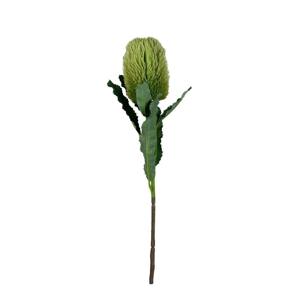 Banksia Dalı 65 Cm (Yeşil)
