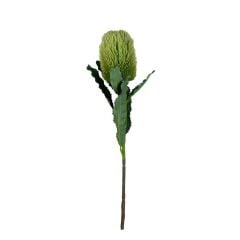 Banksia Dalı 65 Cm (Yeşil)