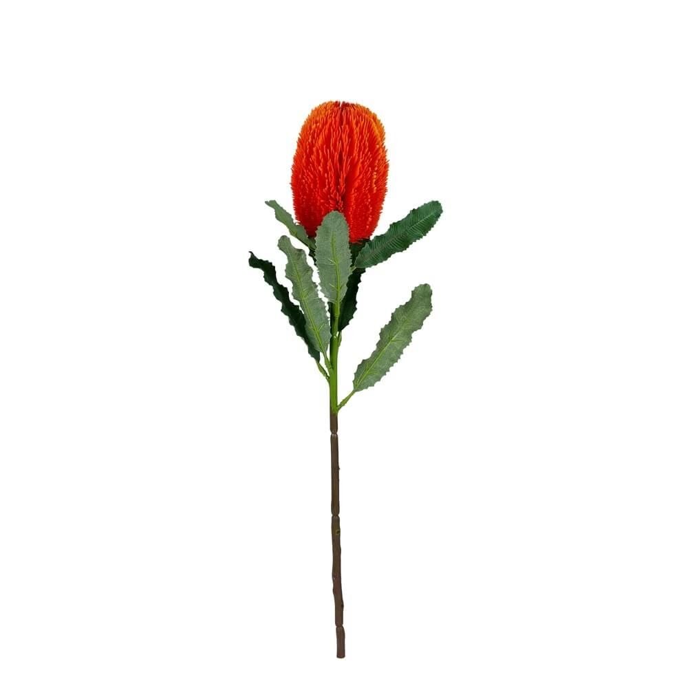 Banksia Dalı 65 Cm (Turuncu)