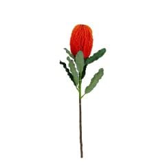 Banksia Dalı 65 Cm (Turuncu)