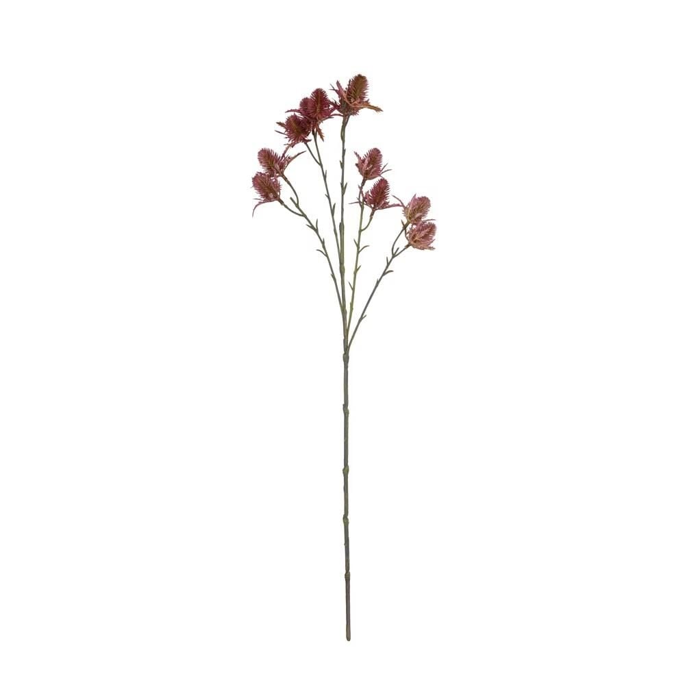 Devedikeni Dalı 65 Cm (Bordo)