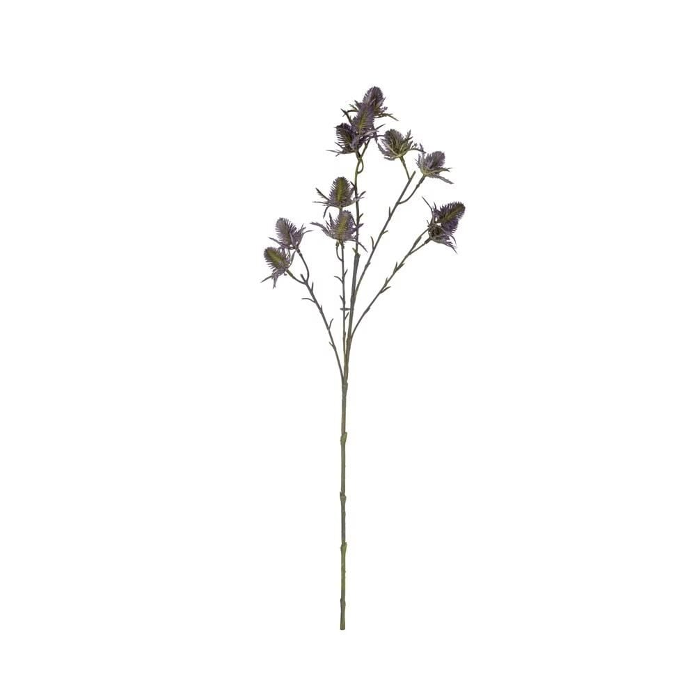 Devedikeni Dalı 65 Cm (Mor)