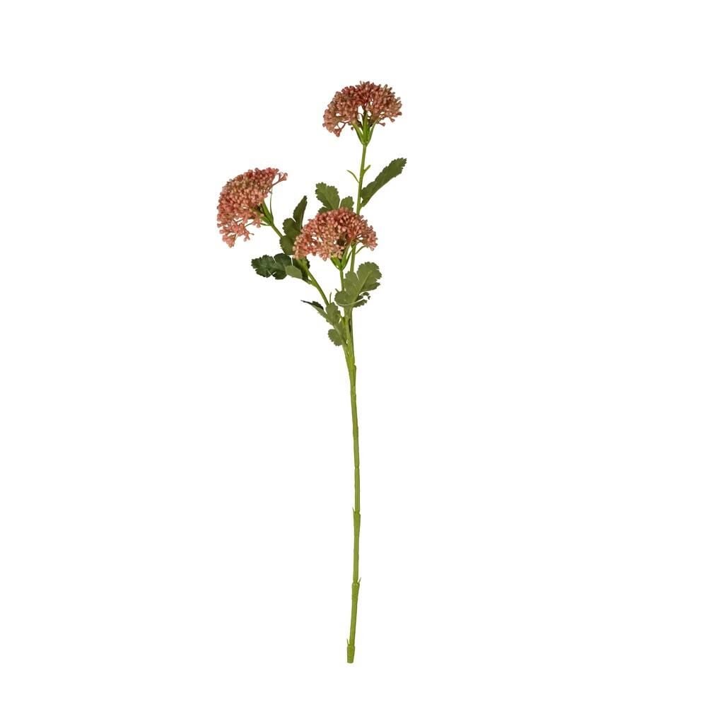 Sedum Dalı 63 Cm (Somon)