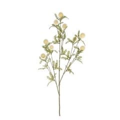Pom Pom Dalı 91 Cm. (Krem)