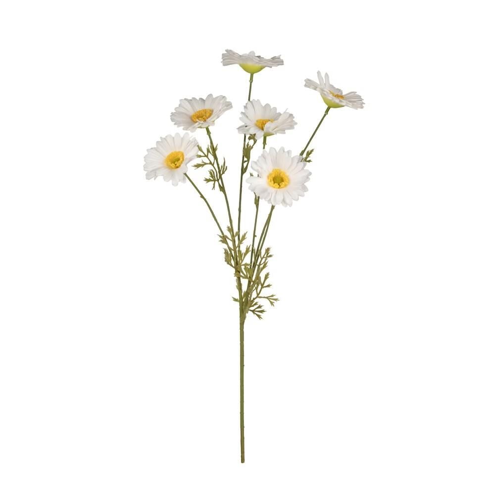 Papatya Dal Islak Dokulu 81 Cm (Krem)