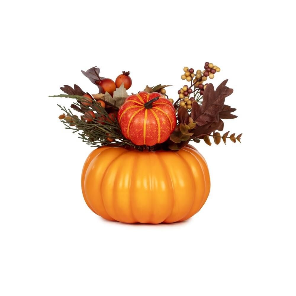 Kabak Karışık Yaprak Meyveleri 23 Cm