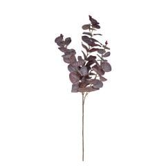 Okaliptüs Dal (Bordo)