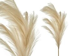 Roven Tüy Krem 118 Cm