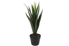 Yapay Yucca Ağacı 60cm