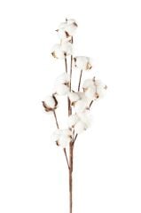 Beyaz Yapay Çiçek Pamuk 75 cm