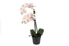 Açık Pembe 3lü Yapay Orkide 65cm