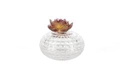 Turuncu Çiçekli Cam Şekerlik 15x14cm