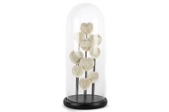 Kalpli Dekoratif Cam Fanus 17x40cm