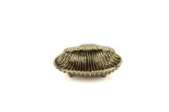 Antik Gold Deniz Kabuğu Kase 19x7cm